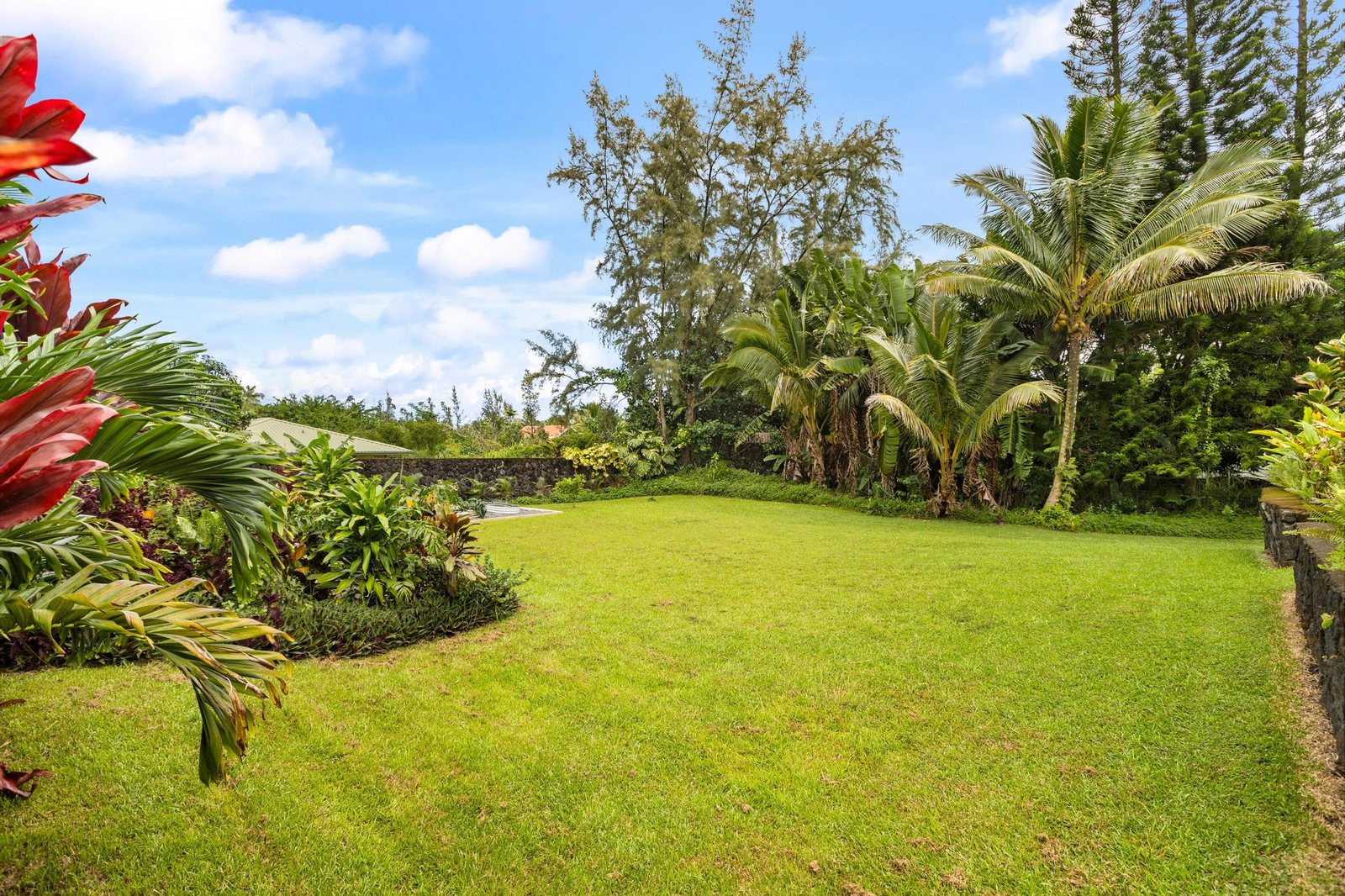 Tropical garden with red ti, palms and lawn
