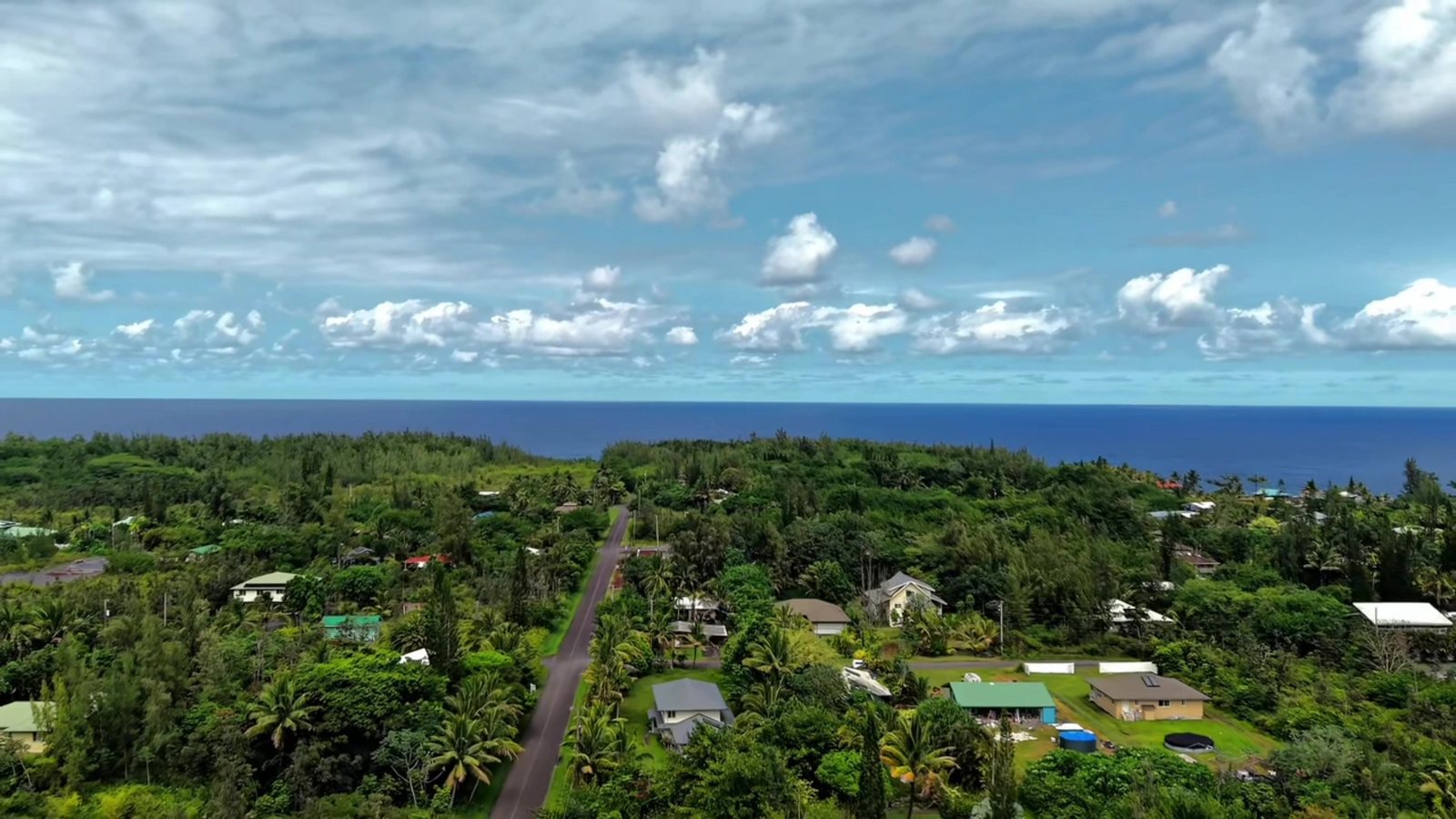 Aerial view over treetops toward the Pacific Ocean