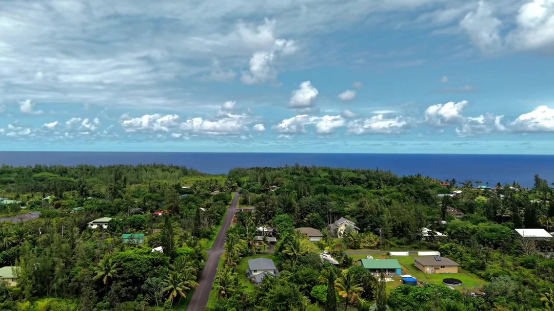 Aerial view over treetops toward the Pacific Ocean