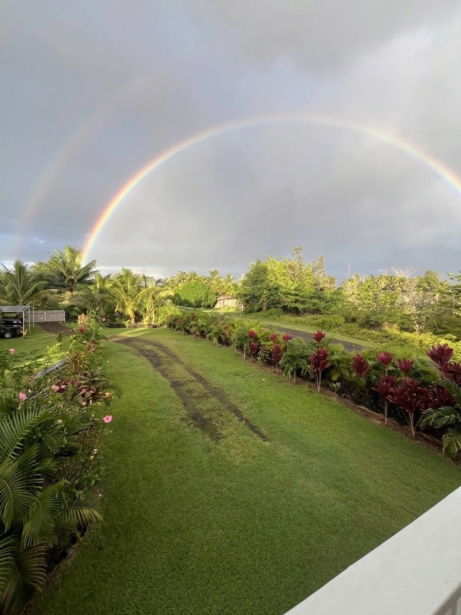 A double rainbow over the lawn and red ti hedge, seen from the lanai