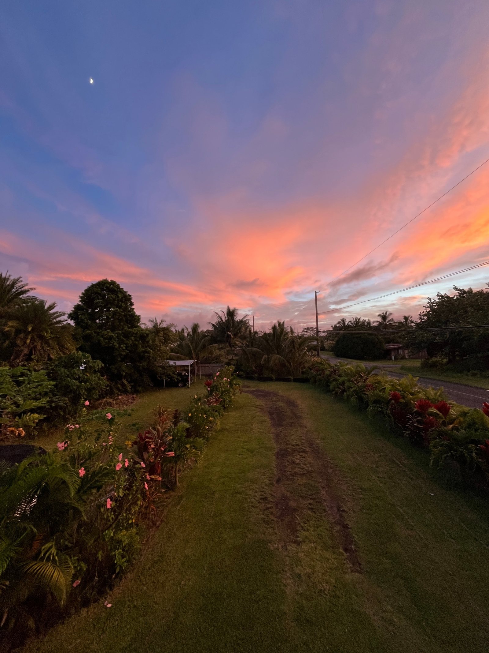 Sunset colors over the palms and garden